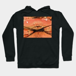 Whoever Wants To Eat Me - I'll Give Him a Hard Time! Hoodie